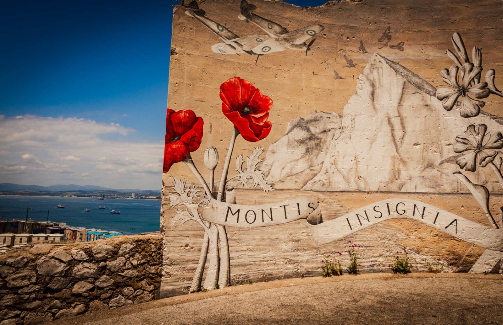 Montis Insignia Mural | Digital Download