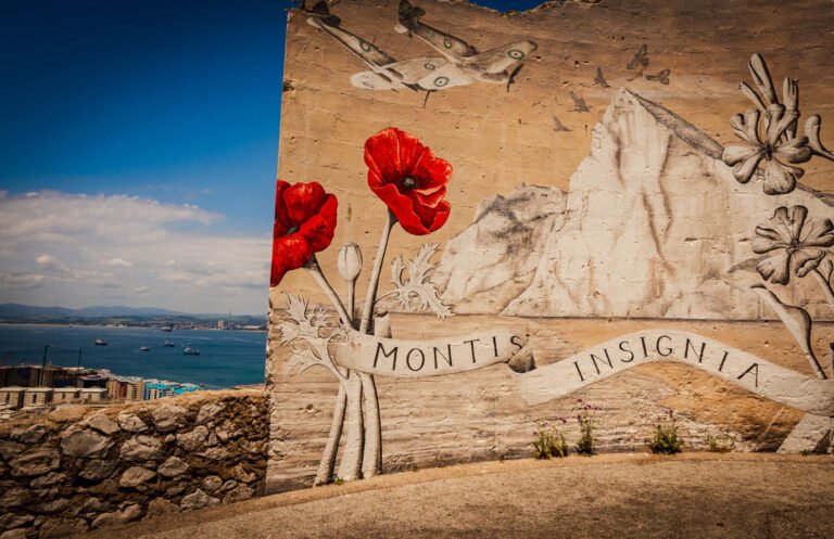Montis Insignia Mural | Digital Download