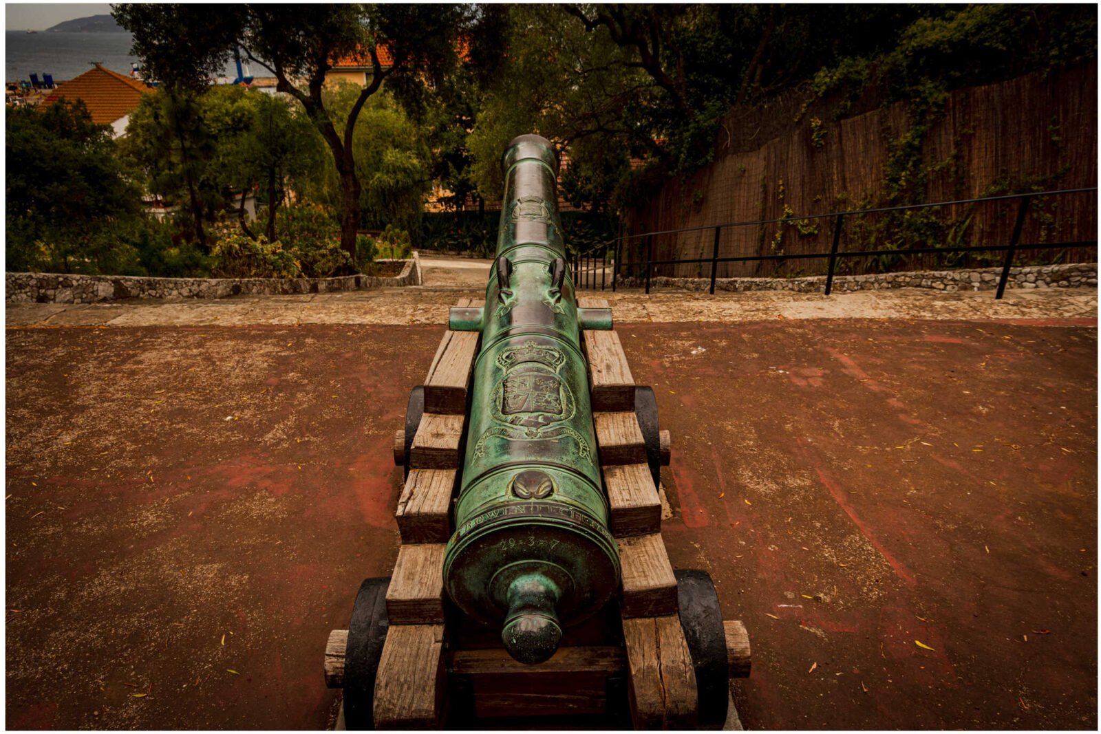 Botanic Gardens Canon | Digital Download