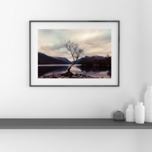 The Lone Tree  | Llanberis | North Wales | Landscape Print image 3