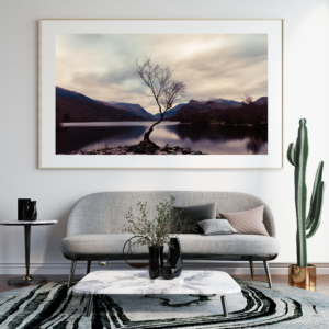 The Lone Tree  | Llanberis | North Wales | Landscape Print image 5