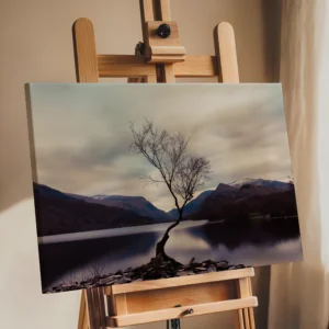 The Lone Tree  | Llanberis | North Wales | Landscape Print image 6