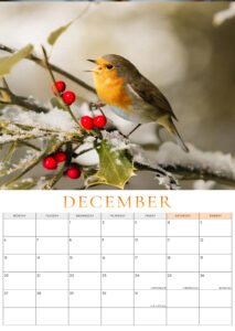 🐦 Pre-Order: 2027 Robin A3 Wall Calendar image 14