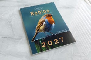 🐦 Pre-Order: 2027 Robin A3 Wall Calendar image 1
