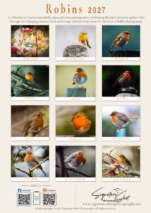 🐦 Pre-Order: 2027 Robin A3 Wall Calendar image 15
