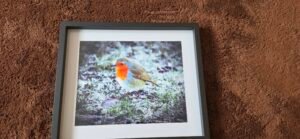 Robin in Winter Light | 10 x 8 Framed Print | Studio Edition image 2