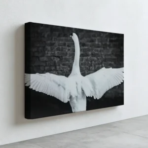 Majestic Swan Wings | Wildlife Nature Wall Art Print image 5