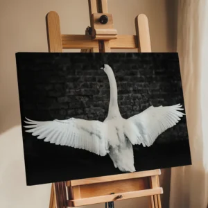 Majestic Swan Wings | Wildlife Nature Wall Art Print image 2