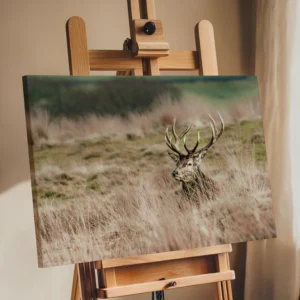Red Deer Stag | British Wildlife Photography Wall Art image 4