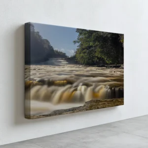 Golden Waters at Aysgarth Lower Falls | Yorkshire Dales | Nature Wall Art image 5