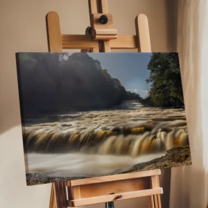 Golden Waters at Aysgarth Lower Falls | Yorkshire Dales | Nature Wall Art image 6