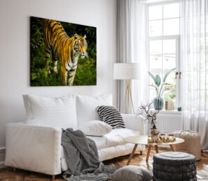 Eyes of the Wild – Tiger Wildlife Photography Print image 6