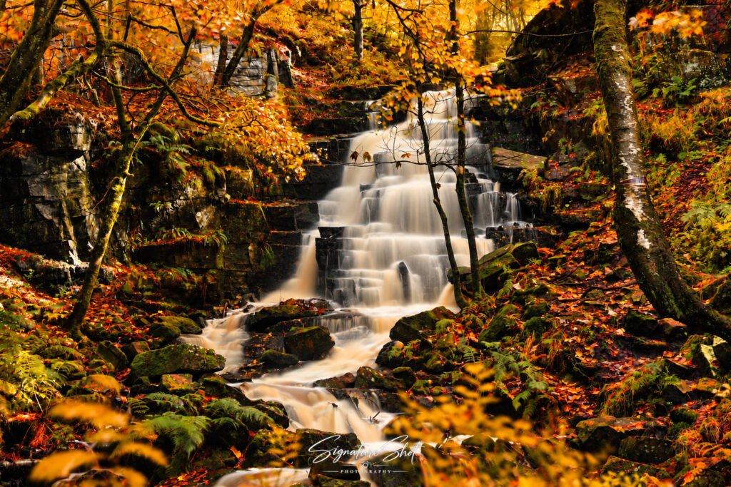 Hatch Brook Waterfall surrounded by golden autumn leaves, moss-covered rocks and flowing water